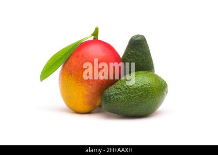 Mango- und Avocado-Früchte auf weißem Hintergrund Stockfoto