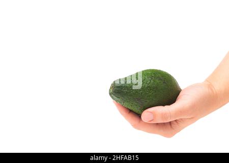 Avocado Frucht in der Hand auf weißem Hintergrund Stockfoto