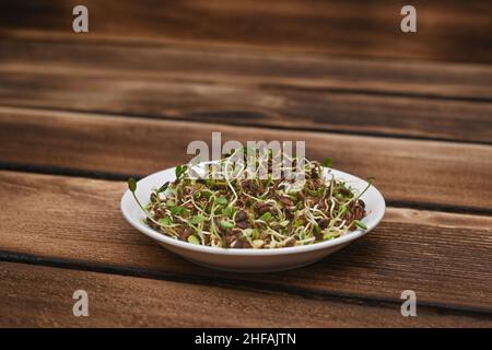 Gekeimte mikrogrüne gekeimte Leinsamen. Auf einem Teller auf dem Holztisch. Gesunde Ernährung. Stockfoto