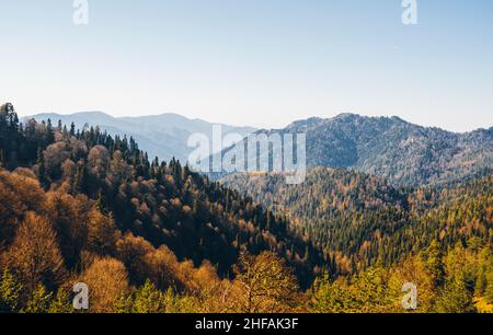 Farbenfrohe Herbstansicht des Yedigoller Nationalparks in der Türkei. Stockfoto