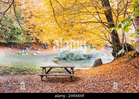 Schöner Herbstblick auf den Nazli-See mit Holztisch im Yedigoller-Nationalpark (sieben Seen). Bolu ist eine Provinz im Nordwesten der Türkei. Stockfoto