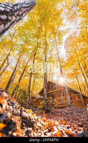 Schöner Herbstblick mit Holzhaus im Yedigler Nationalpark (sieben Seen). Bolu ist eine Provinz im Nordwesten der Türkei. Stockfoto