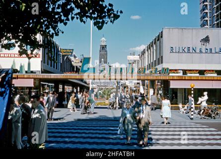 Shopper out in the Sunshine at the (de) Lijnbaan, Rotterdam, Niederlande c. 1960. Das Lijnbaan ist das Haupteinkaufsviertel von Rotterdam. Sie wurde 1953 als Hauptfußgängerzone im neuen Einkaufsviertel eröffnet, nachdem die Altstadt während des Zweiten Weltkriegs durch deutsche Bombenangriffe vollständig zerstört wurde. Es wurde von den Architekten Jo van den Broek und Jacob B (Jaap) Bakema entworfen. Es war die erste zweckmäßig gebaute Fußgängerzone in Europa. Die autofreie Fläche erwies sich als erfolgreich und hat zahlreiche ähnliche Projekte auf der ganzen Welt beeinflusst – ein Vintage-Foto von 1950s/1960s. Stockfoto