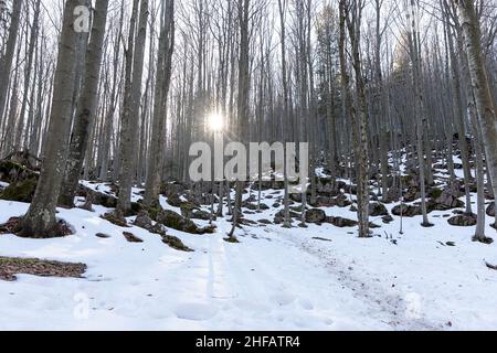 Sonne im schneebedeckten Wald über dem Vipava-Tal in Slowenien, bis zum Gipfel des Caven-Gebirges Stockfoto