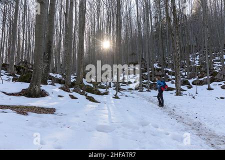 Frau, die im Wald über dem Vipava-Tal in Slowenien auf den Gipfel des Berges Caven wandert Stockfoto