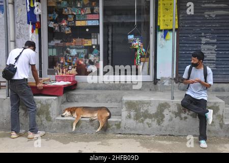 Mandi, Himachal Pradesh, Indien - 08 02 2021: Menschen, die während einer Coronavirus-Pandemie tibetische Souvenirs in einem tibetischen Geschäft mit Gesichtsmaske auswählen Stockfoto