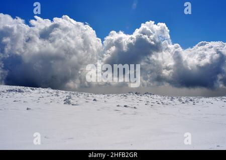 Rollende Wolken am Berghorizont von Hallasan 한라산, Insel Jeju, Südkorea. Stockfoto