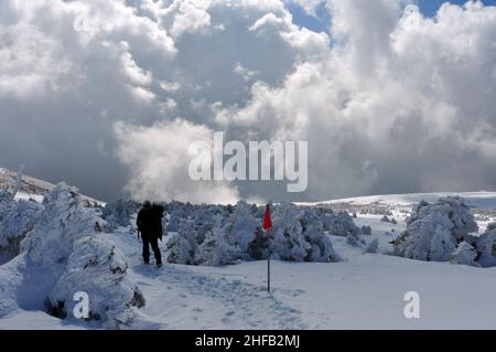 Das Geräusch der Stille auf dem schneebedeckten Weg zum Gipfel des Hallasan 한라산, Insel Jeju, Südkorea. Stockfoto