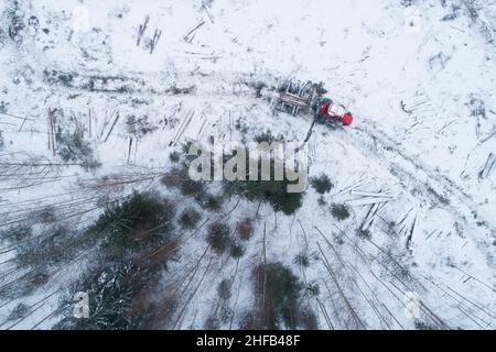 Luftaufnahme eines kleinen, klar abgegrenzten Gebiets nach der Entwaldung mit einem roten Spediteur, der am Wintertag im europäischen Wald in Estland Holz sammelt. Stockfoto