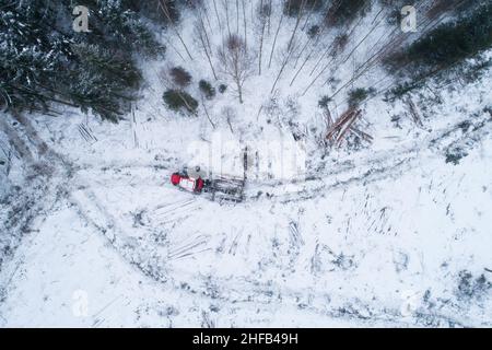 Luftaufnahme eines kleinen, klar abgegrenzten Gebiets nach der Entwaldung mit einem roten Spediteur, der am Wintertag im europäischen Wald in Estland Holz sammelt. Stockfoto