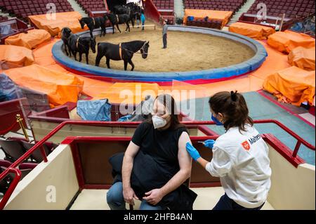 München, Deutschland. 15th Januar 2022. Die Vaccinologin Caroline Klima impft Thomas Frauendorfer im Circus Krone gegen das Corona-Virus, während Pferde im Ring im Hintergrund trainieren. Kredit: Lennart Preiss/dpa/Alamy Live Nachrichten Stockfoto