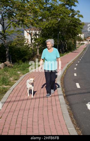 Ganzer Körper von gealtertem Weibchen mit grauem Haar, der den Podenco-Hund an der Leine auf dem gepflasterten Gehweg an sonnigen Tagen führt Stockfoto