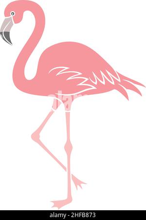 flamingo Vogel Vektorgrafik Stock Vektor