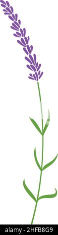 Lavendel Pflanze Symbol - Vektor-Illustration Stock Vektor