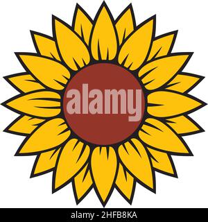 Sonnenblumen-Vektor-Illustration in Farbe Stock Vektor