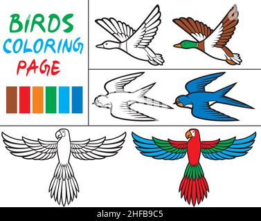 Malbuch Vektor Illustration von Papagei, Ente und Schwalbe Stock Vektor
