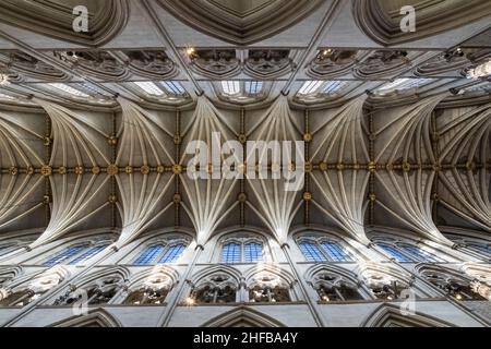 England, London, Westminster Abbey, das Kirchenschiff, Musterdetail der Fächergewölbe Stockfoto