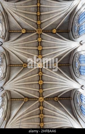 England, London, Westminster Abbey, das Kirchenschiff, Musterdetail der Fächergewölbe Stockfoto