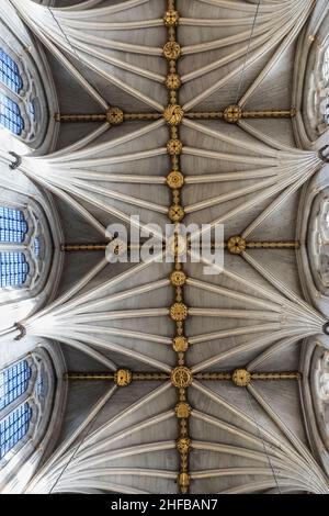 England, London, Westminster Abbey, das Kirchenschiff, Musterdetail der Fächergewölbe Stockfoto