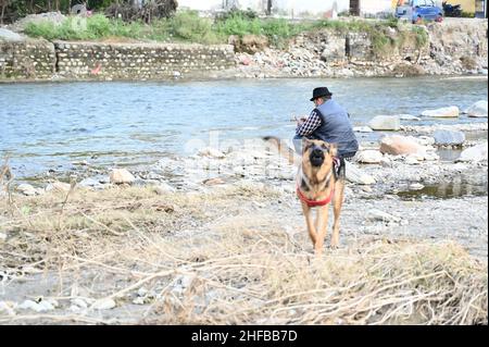 Mann, der im Fluss angeln kann. Mit unserem Hund Stockfoto