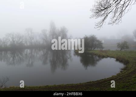Spiegelung von blattlosen Bäumen in einem kleinen See bei nebligen Wetter. Zuid-Beveland, Provinz Zeeland, Niederlande. Stockfoto