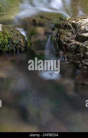 Detail vom flachen Bergbach fließt Wasser zwischen feuchten moosigen Steinen Stockfoto