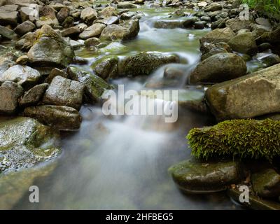 Detail vom flachen Bergbach fließt Wasser zwischen feuchten moosigen Steinen Stockfoto