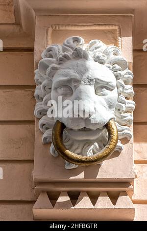 Ornamento de cabeza de León en edificio de Cádiz Stockfoto