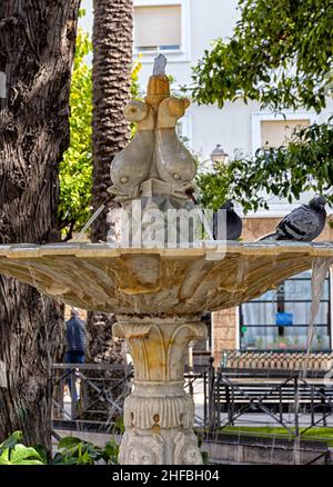 Der park und die Ciudad de Cádiz Stockfoto