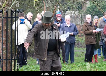 Leominster Großbritannien - Samstag, 15th. Januar 2022 - der Ciderman segnet die Apfelbäume mit Apfelwein im Rahmen der Wassail-Zeremonie im gemeinschaftlichen Apfelgarten in Leominster - die alte Wassail-Zeremonie beinhaltet das Rezitieren von Beschwörungen und das Singen der Bäume im Apfelgarten, um eine zu fördern Gute Ernte für das nächste Jahr. Foto Steven May / Alamy Live News Stockfoto