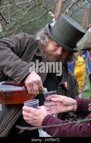 Leominster Großbritannien - Samstag, 15th. Januar 2022 - der Ciderman gießt Apfelwein für die Teilnehmer, um im Rahmen der Wassail-Zeremonie im gemeinschaftlichen Apfelgarten in Leominster auf die Apfelbäume zu stoßen - die uralte Wassail-Zeremonie beinhaltet das Rezitieren von Beschwörungen und das Singen der Bäume im Apfel Obstgarten, um eine gute Ernte für das nächste Jahr zu fördern. Foto Steven May / Alamy Live News Stockfoto