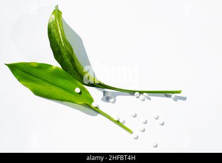 Alternative Medizin. Große grüne Blätter und eine Streuung von Mineraltabletten. Stockfoto