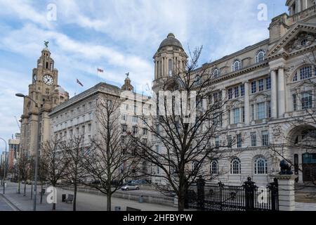 Liverpool, Großbritannien - 6. Januar 2020: Das Royal Liver Building ist eines der bekanntesten architektonischen Gebäude Liverpools. Die berühmten Lebervögel werden beobachtet Stockfoto