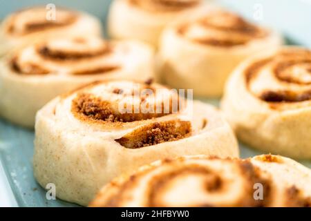 Ungebackene Zimtbrötchen in einer blauen Backform. Stockfoto