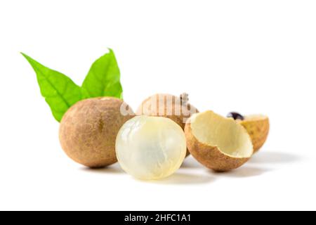 Frische longanische Frucht mit isolierten Blättern auf weißem Hintergrund, die essbaren weißfleischigen Früchte sind etwas ähnlich zu den verwandten Litschi und sind häufig Stockfoto