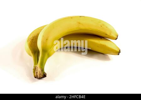 Drei Bananen isoliert auf weiß. Stockfoto