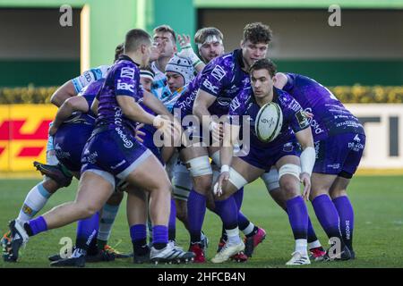 Monigo Stadium, Treviso, Italien, 15. Januar 2022, gonzalo bertranou während des Benetton Rugby vs. Dragons - Rugby Challenge Cup Stockfoto