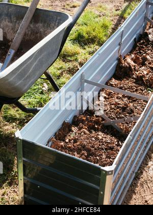 Das neue Hochbett wurde mit Kompost und Blattform gefüllt. Stockfoto