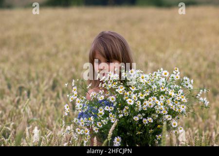 Kleines Mädchen auf einem Weizenfeld mit Kamillenblüten. Stockfoto