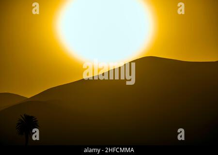 Romantischer Sonnenuntergang mit eigenständigen Bäumen im Vulkangebiet von Lanzarote Stockfoto