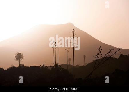 Romantischer Sonnenuntergang mit eigenständigen Bäumen im Vulkangebiet von Lanzarote Stockfoto