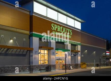 Neue Sprossen Farmers Market Lebensmittelgeschäft in der Abenddämmerung in Buford, Georgia. (USA) Stockfoto