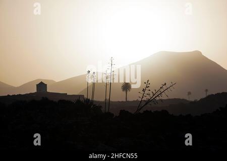 Romantischer Sonnenuntergang mit eigenständigen Bäumen im Vulkangebiet von Lanzarote Stockfoto