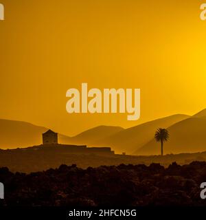 Romantischer Sonnenuntergang mit eigenständigen Bäumen im Vulkangebiet von Lanzarote Stockfoto