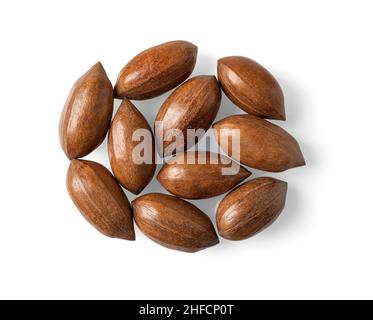 Ungeschälte Pekannüsse isoliert auf weißem Hintergrund. Gruppe von ganzen ungeschälten Pekannüssen. Makro von Carya illinoinensis Baum frische leckere Früchte. Stockfoto