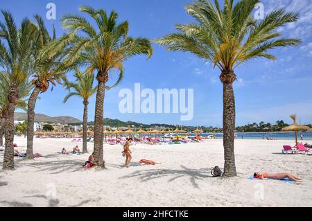 Platja d'Alcudia, Port d'Alcudia, Gemeinde Alcudia, Mallorca, Balearen, Spanien Stockfoto