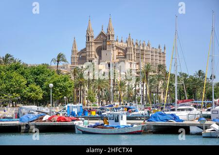 Kathedrale von Palma, Palma De Mallorca, Palma Stadt, Mallorca, Balearen, Spanien Stockfoto