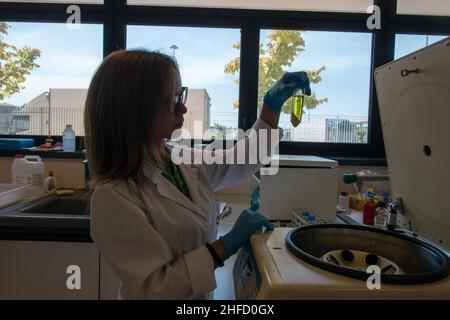 Fondi (LT), Italien 12/09/2019: MOF Wholesale Agribusiness Center. Pedonlab, Analyselabor für die Qualitätskontrolle von Transportgütern. ©Andrea Sabbadini Stockfoto
