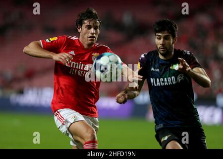 Lissabon, Portugal. 15th Januar 2022. Paulo Bernardo von SL Benfica (L) steht am 15. Januar 2022 beim Fußballspiel der Portugiesischen Liga zwischen SL Benfica und Moreirense FC im Luz-Stadion in Lissabon, Portugal, mit Fabio Pacheco vom Moreirense FC in Verbindung. (Bild: © Pedro Fiuza/ZUMA Press Wire) Stockfoto