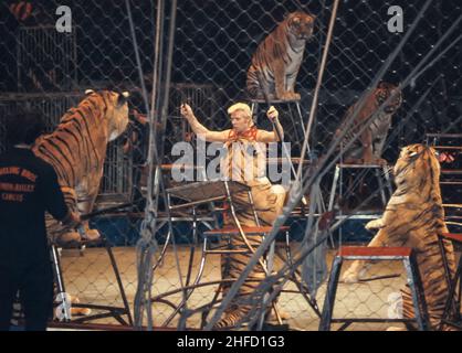 Um 1987, East Rutherford, NJ USA Gunther Gebel-Williams (12. September 1934 – 19. Juli 2001) war von 1968 bis 1990 Tiertrainer für Ringling Bros. Und Barnum & Bailey Circus. Foto von Jim DeLillo/Alamy Stockfoto
